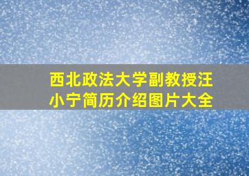 西北政法大学副教授汪小宁简历介绍图片大全