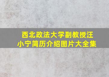 西北政法大学副教授汪小宁简历介绍图片大全集