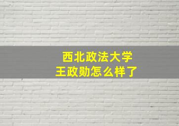 西北政法大学王政勋怎么样了