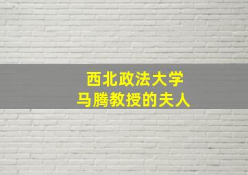 西北政法大学马腾教授的夫人