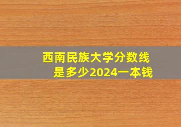 西南民族大学分数线是多少2024一本钱