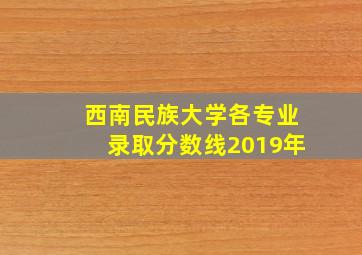 西南民族大学各专业录取分数线2019年