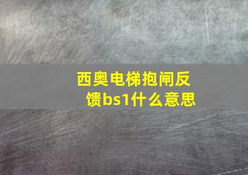 西奥电梯抱闸反馈bs1什么意思