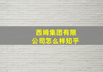 西姆集团有限公司怎么样知乎