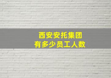 西安安托集团有多少员工人数