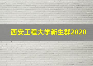 西安工程大学新生群2020