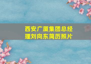 西安广厦集团总经理刘向东简历照片