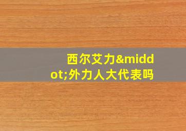 西尔艾力·外力人大代表吗