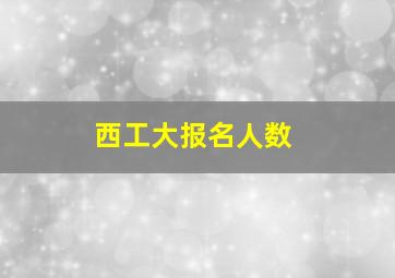 西工大报名人数