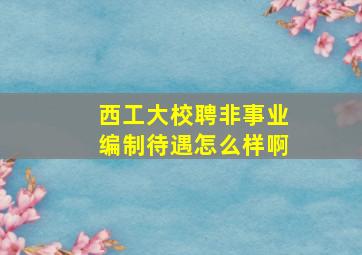 西工大校聘非事业编制待遇怎么样啊