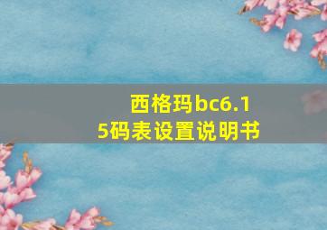 西格玛bc6.15码表设置说明书