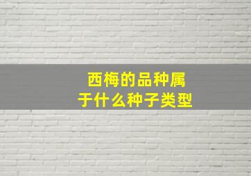 西梅的品种属于什么种子类型