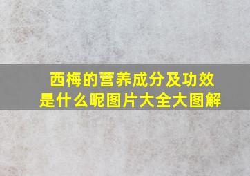 西梅的营养成分及功效是什么呢图片大全大图解