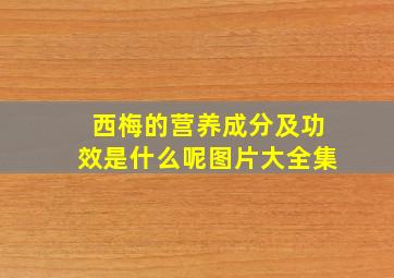 西梅的营养成分及功效是什么呢图片大全集