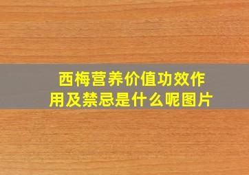 西梅营养价值功效作用及禁忌是什么呢图片