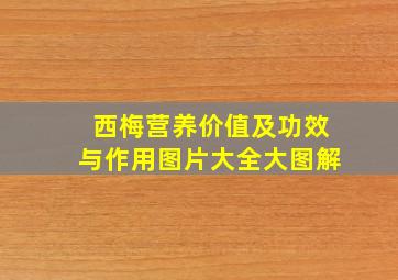 西梅营养价值及功效与作用图片大全大图解