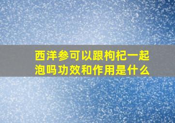 西洋参可以跟枸杞一起泡吗功效和作用是什么