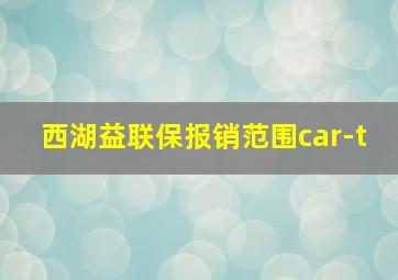 西湖益联保报销范围car-t