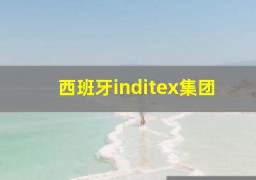 西班牙inditex集团