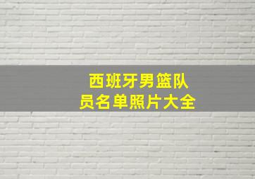 西班牙男篮队员名单照片大全