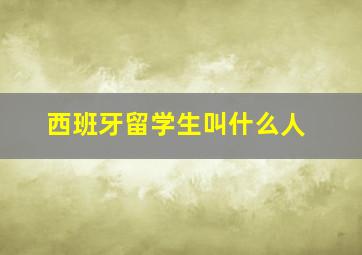 西班牙留学生叫什么人