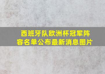 西班牙队欧洲杯冠军阵容名单公布最新消息图片