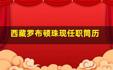 西藏罗布顿珠现任职筒历