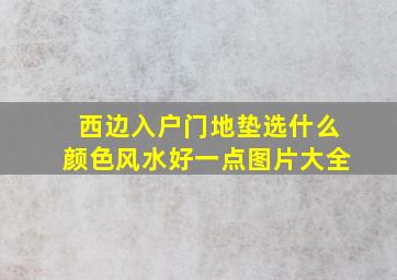 西边入户门地垫选什么颜色风水好一点图片大全