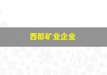 西部矿业企业