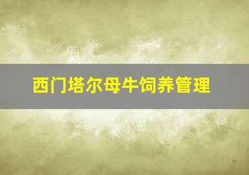 西门塔尔母牛饲养管理