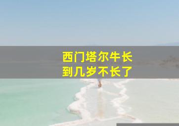 西门塔尔牛长到几岁不长了