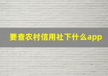 要查农村信用社下什么app