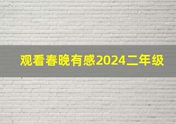 观看春晚有感2024二年级