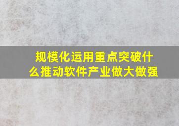 规模化运用重点突破什么推动软件产业做大做强