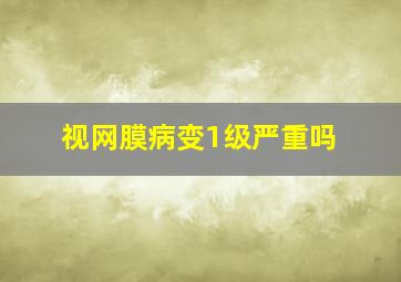 视网膜病变1级严重吗