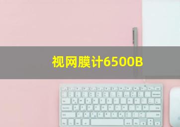 视网膜计6500B