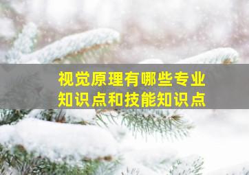 视觉原理有哪些专业知识点和技能知识点