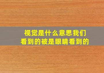 视觉是什么意思我们看到的被是眼睛看到的