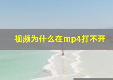 视频为什么在mp4打不开