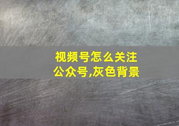 视频号怎么关注公众号,灰色背景