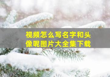 视频怎么写名字和头像呢图片大全集下载