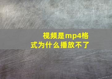 视频是mp4格式为什么播放不了