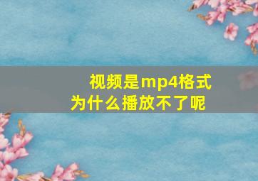 视频是mp4格式为什么播放不了呢