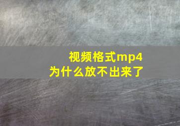 视频格式mp4为什么放不出来了