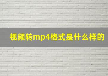 视频转mp4格式是什么样的