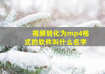 视频转化为mp4格式的软件叫什么名字