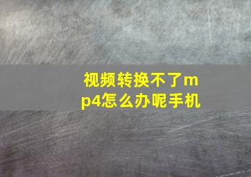 视频转换不了mp4怎么办呢手机