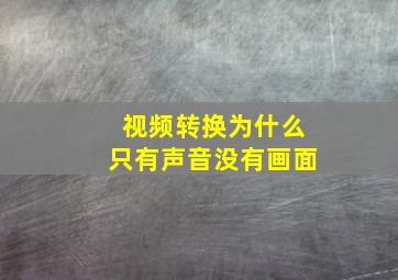 视频转换为什么只有声音没有画面