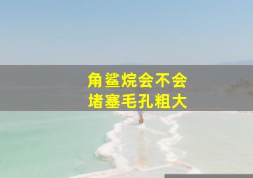 角鲨烷会不会堵塞毛孔粗大