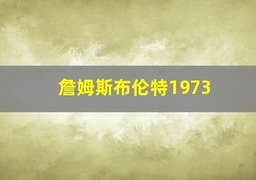 詹姆斯布伦特1973